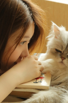第22条婚规电视剧